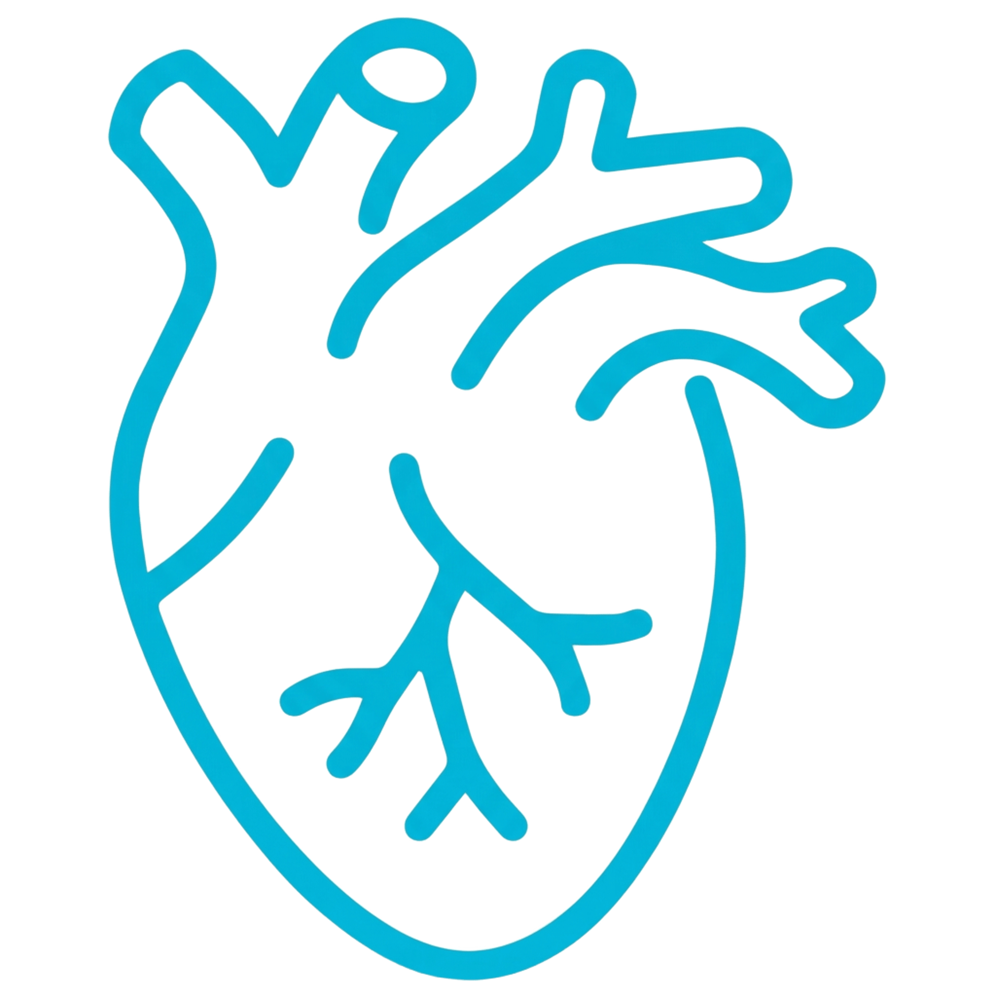 Logo Système Cardiaque