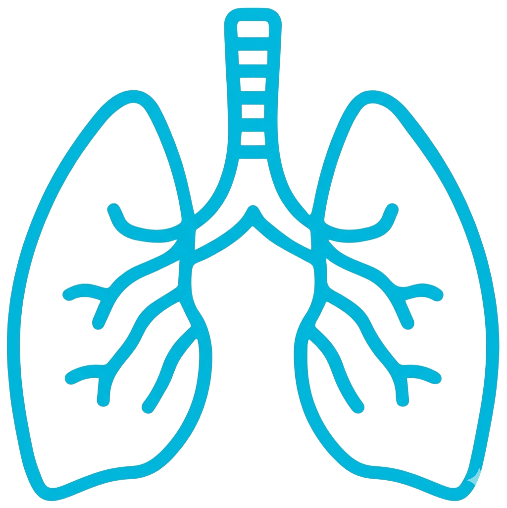 Logo Système Respiratoire